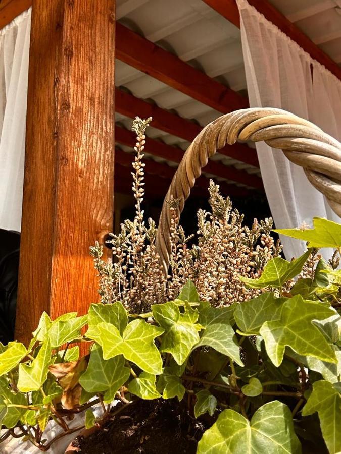 شقة Bon Bon Del Corso Con Terrazzo E Aria Condizionata آستي المظهر الخارجي الصورة